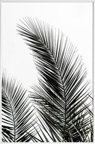 JUNIQE - Poster i kunststof lijst Palm Leaves 1 -40x60 /Kleurrijk