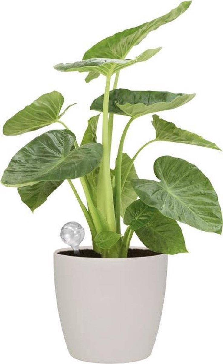 Elho Aqua Care 9 - Waterdruppelaar voor Planten - Gemaakt van Gereycled Plastic - Ø 17.3 x H 32.0 cm - Transparant thumbnail 4