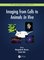 Series in Cellular and Clinical Imaging- Imaging from Cells to Animals In Vivo
