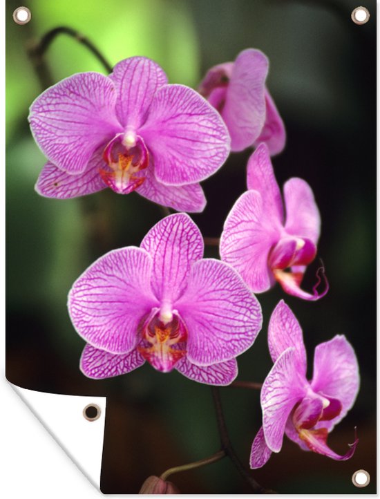 - Tuindoek - Roze orchidee