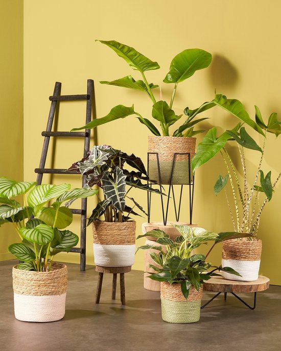 House of Seasons Ladderrek - L29 x B49 x H119 cm - Populierenhout - Zwart
