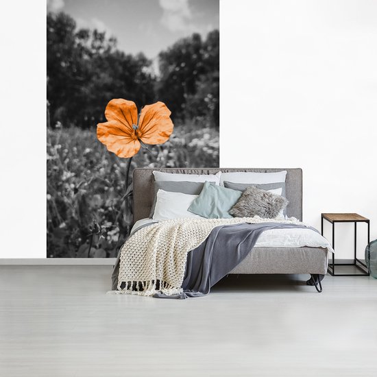 Papier peint - Papiers Papier peint photo Fleurs - Zwart - Wit - Oranje - Largeur 225 cm x Hauteur 350 cm