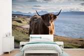 Behang - Fotobehang Schotse hooglander - Licht - Water - Breedte 330 cm x hoogte 220 cm