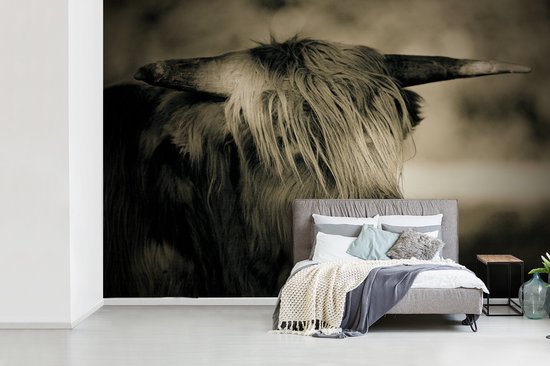 Papier peint - Papier peint photo Scottish Highlander - Animaux - Cheveux - Largeur 525 cm x hauteur 350 cm