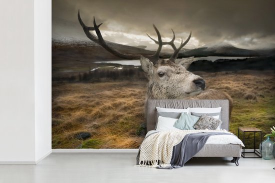 Papier peint photo peint photo vinyle - Gros plan cerf largeur 360 cm x hauteur 240 cm - Tirage photo sur papier peint (disponible en 7 tailles)