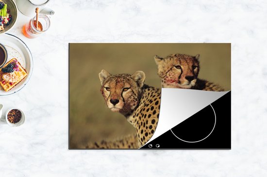 KitchenYeah® Inductie beschermer 81.6x52.7 cm - Twee cheeta's op de savanne - Kookplaataccessoires - Afdekplaat voor kookplaat - Inductiebeschermer - Inductiemat - Inductieplaat mat