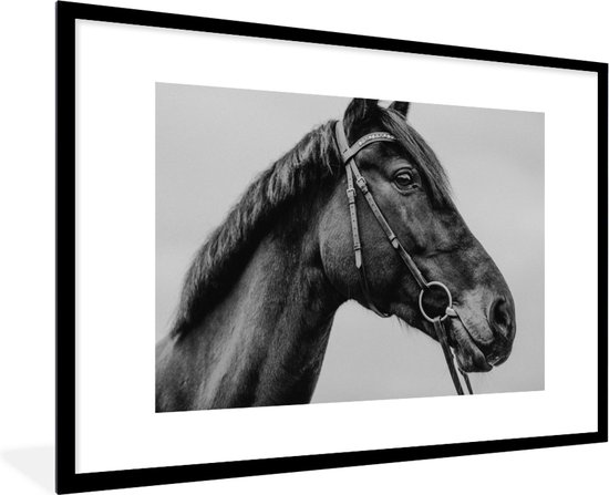 Fotolijst incl. Poster - Paard - Halster - Portret - 120x80 cm - Posterlijst