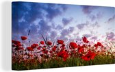 Canvas schilderij 160x80 cm - Wanddecoratie Panorama van een kleurrijk veld klaprozen - Muurdecoratie woonkamer - Slaapkamer decoratie - Kamer accessoires - Schilderijen