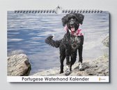 Portugese Waterhond Kalender - Verjaardagskalender - 35x24cm - Huurdies