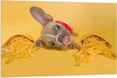 WallClassics - Vlag - Hondje tussen Frietjes met Gele Achtergrond - 105x70 cm Foto op Polyester Vlag