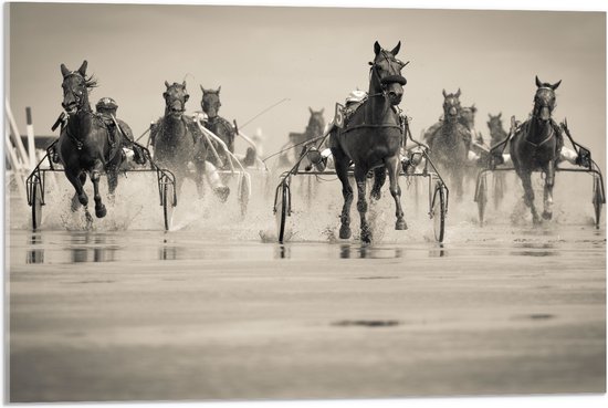 Acrylglas - Groep Rennende Paarden (zwart- wit) - 75x50 cm Foto op Acrylglas (Met Ophangsysteem)