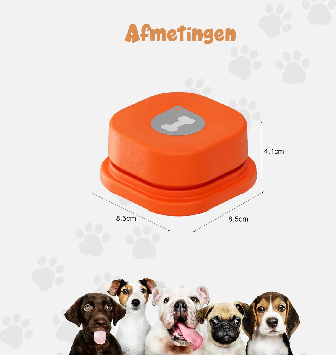 Eindelijk weten wat je hond zegt via knoppen met een speaker | Tech