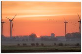 Dibond - Zonsondergang bij Windmolens in het Veld - 60x40 cm Foto op Aluminium (Met Ophangsysteem)