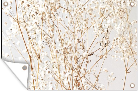 Posters de jardin extérieur Nature - Branches - Fleurs - 90x60 cm - Toile jardin - Affiche extérieur