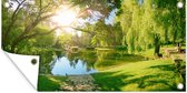 Affiche de clôture Arbres - Lac - Soleil - Herbe - Nature - 200x100 cm - Toile de jardin