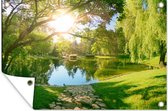 Poster de jardin Arbres - Lac - Soleil - Herbe - Nature - 130x80 cm - Décoration murale Outdoor - Poster de jardin - Toile de jardin - Poster de clôture - Tableau de jardin