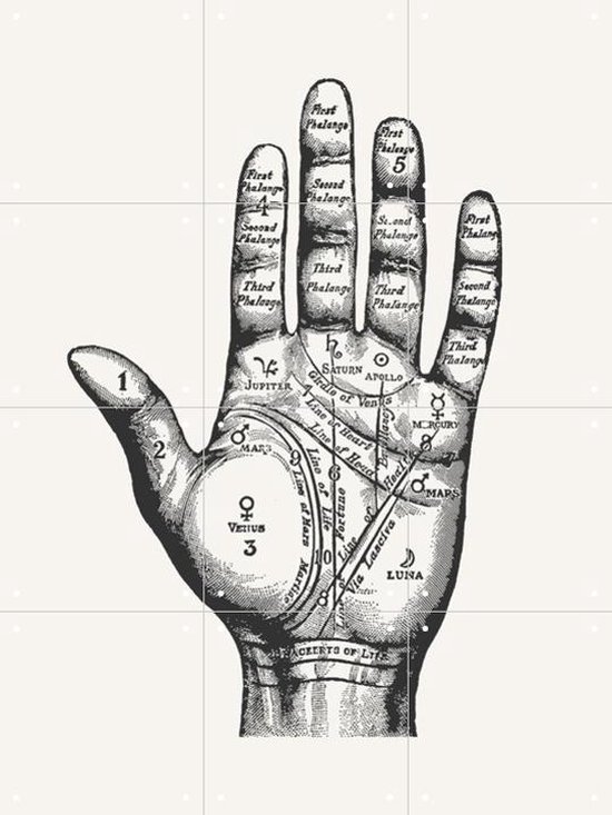 IXXI Palmistry - Wanddecoratie - Vintage - 60 x 80 cm