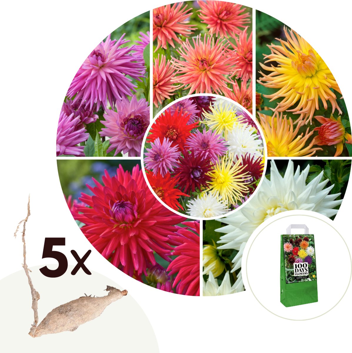 Knox The Little One - Rookhuizen voor wierookkaarsen maat S - Verschillende motieven met wierookkaarsen kleurrijke mix Spoorstation Knox The Little One - Rookhuizen voor wierookkaarsen maat S - Verschillende motieven met wierookkaarsen kleurrijke mix Spoorstation