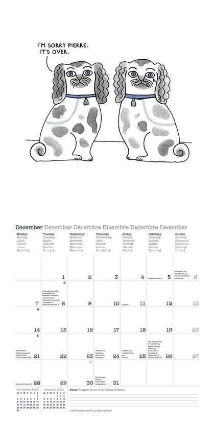 A Dog's Life 2020 Broschürenkalender - TeNeues