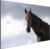 Wanddecoratie Metaal - Aluminium Schilderij Industrieel - Paarden - Lucht - Portret - 30x20 cm - Dibond - Foto op aluminium - Industriële muurdecoratie - Voor de woonkamer/slaapkamer
