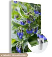 MuchoWow® Glasschilderij 90x120 cm - Schilderij acrylglas - Donkerblauwe smeerwortel bloemen in de natuur - Foto op glas - Schilderijen