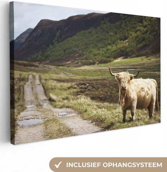 Peinture sur toile Highlander écossais - Chemin - Forêt - 150x100 cm - Décoration murale