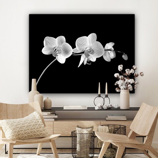 Canvas schilderij 120x90 cm - Wanddecoratie Orchidee - Bloemen - Zwart - Roze - Knoppen - Muurdecoratie woonkamer - Slaapkamer decoratie - Kamer accessoires - Schilderijen op canvas