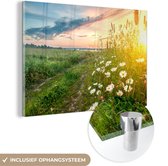 MuchoWow® Peinture sur verre 180x120 cm - Peinture sur verre - Fleurs - Marguerite - Nature - Soleil - Horizon - Photo sur verre acrylique - Peintures