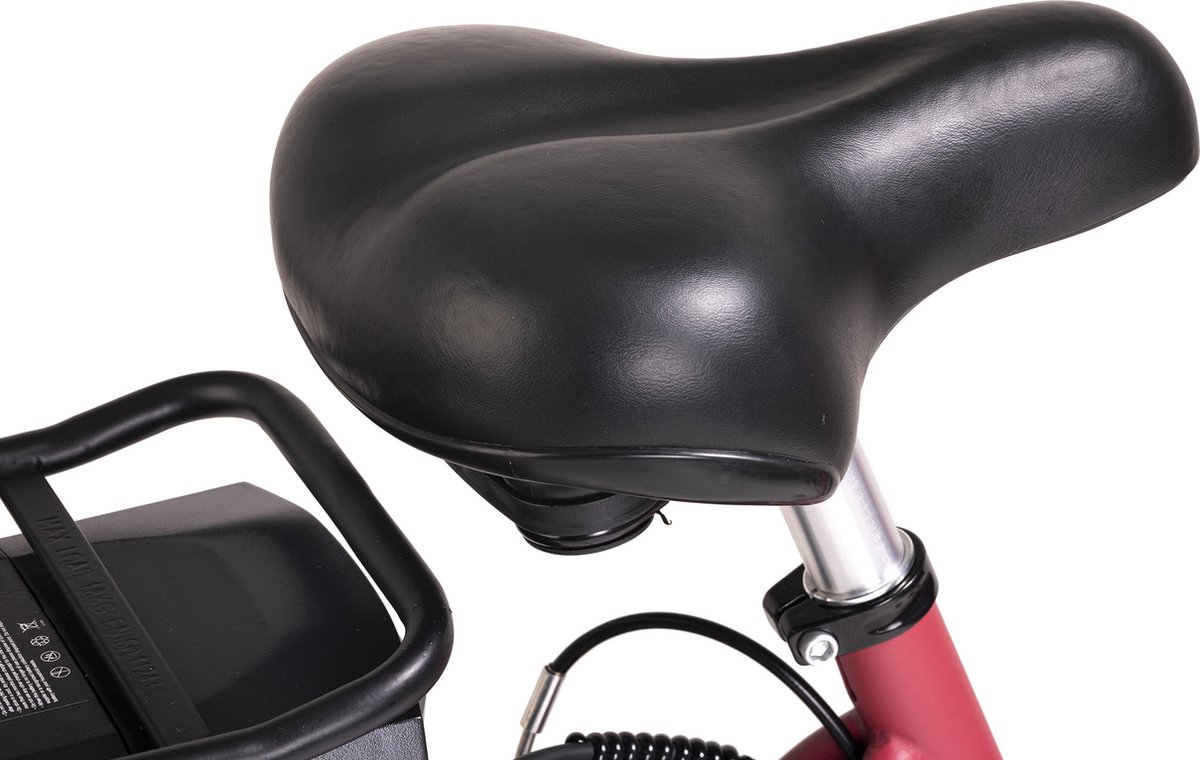 Hollandia Fiets (elektrisch) E-stadsfiets dames Hollandia Carry on 28'' e-bike 3 versnellingen rood - – foto 8