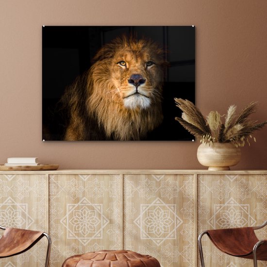 MuchoWow® Peinture sur verre - Lion - Lumière - Zwart - Portrait - 80x60 cm - Peintures sur verre acrylique - Photo sur Glas