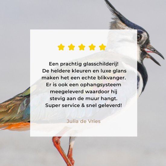 Peinture sur verre - Photo sur verre - Vogel - Ressorts - Arc-en-ciel - Sable - 120x90 cm - Verre acrylique - Peinture sur verre oiseaux - Décoration murale - Peinture sur verre nature - Décoration murale animaux