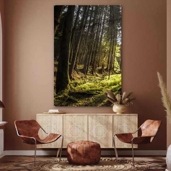 MuchoWow® Peinture sur verre - Arbre - Nature - Soleil - Forêt - 100x150 cm - Peintures sur verre acrylique - Photo sur Glas