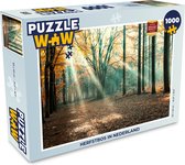Puzzel Herfstbos in Nederland - Legpuzzel - Puzzel 1000 stukjes volwassenen