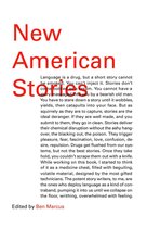 New American Stories