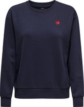JDY - JDYPARIS L/S EMB SWEAT JRS Dames Trui