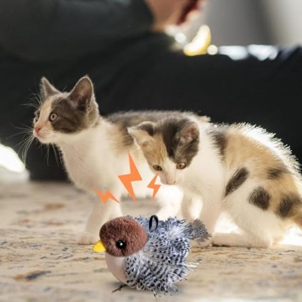Bird Cat Toy - De 15 beste producten vergeleken - Wild uitgelegd