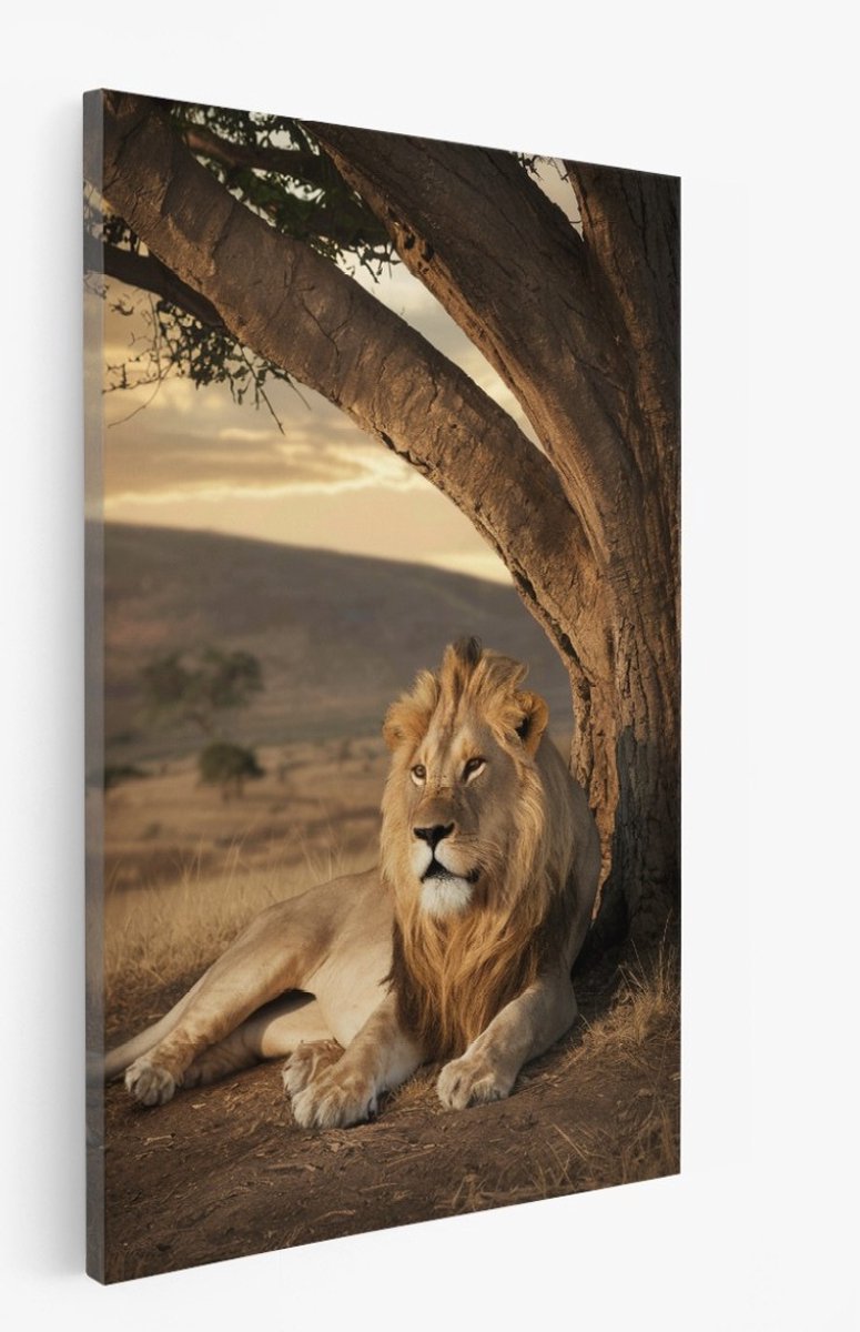 Saammp Canvas Schilderij - Leeuw in serengeti - Natuur - Dieren - 50x70 - Foto op canvas - Wanddecoratie - Muurdecoratie Woonkamer - Slaapkamer decoratie - Canvas Print Multicolor