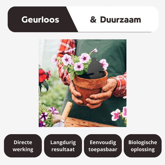 Gele bloem vangplaten voor de biologische bestrijding van rouwvliegjes Gele bloem vangplaten voor de biologische bestrijding van rouwvliegjes