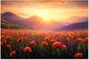 Fleurs - Coquelicots, Rouge