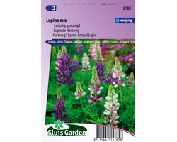 Sluis Garden - Lupine 1-jarig mix