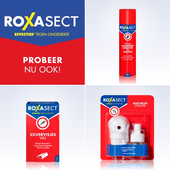Roxasect Spray tegen Vliegende Insecten - Insectenspray - Ongediertebestrijding - Vliegenspray - 400ml