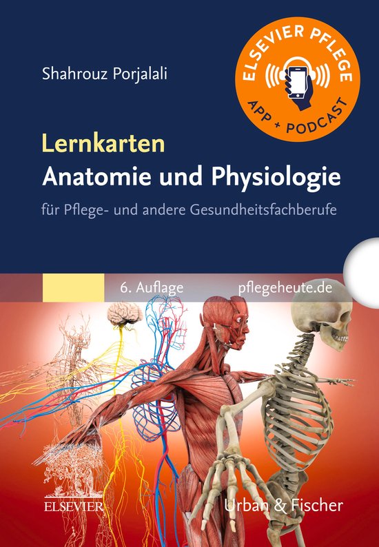 PFLEGE - Lehrbuch - Urban & Fischer Verlag - Lernkarten Anat ... - cover
