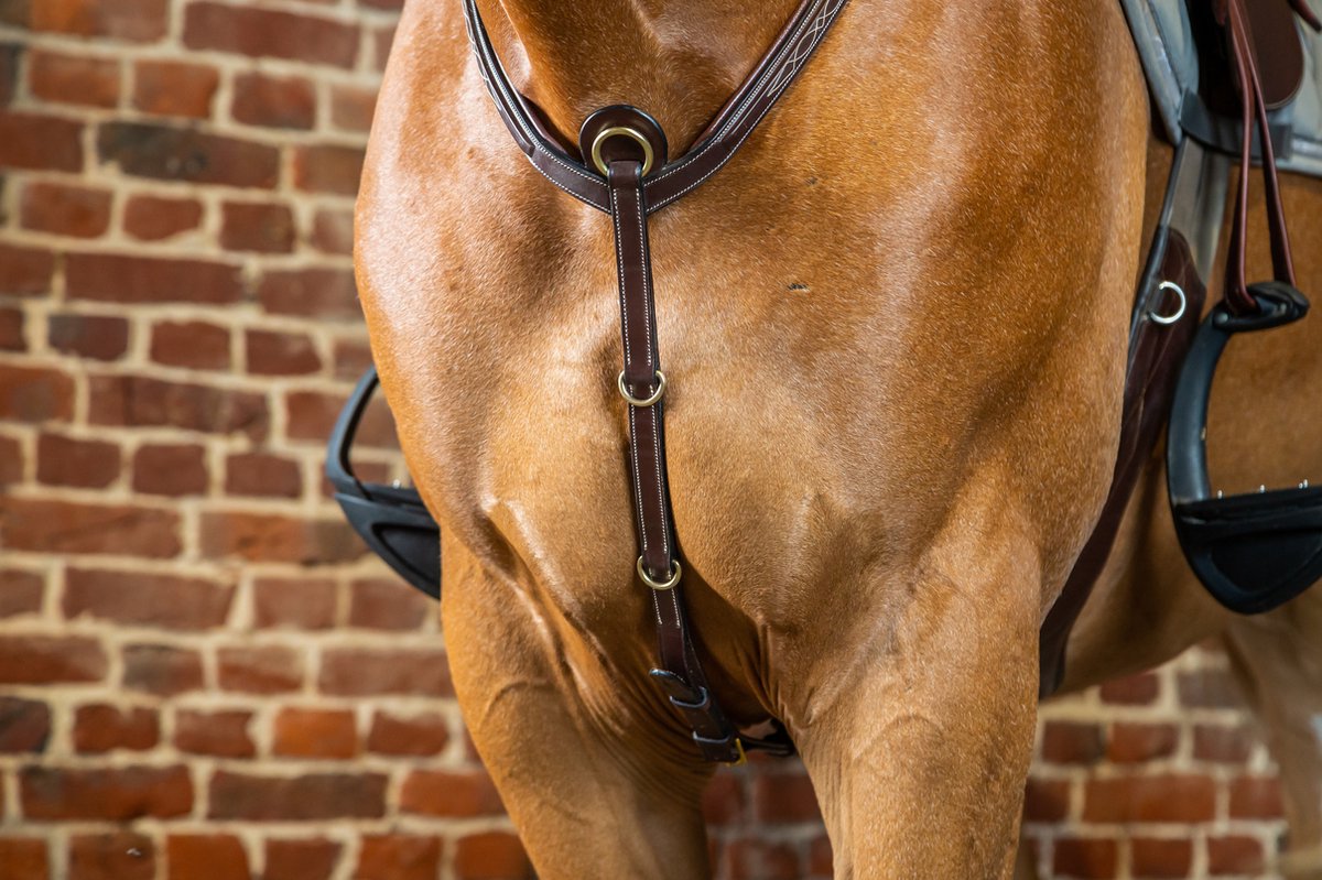Bridge borsttuig Bruin Pony