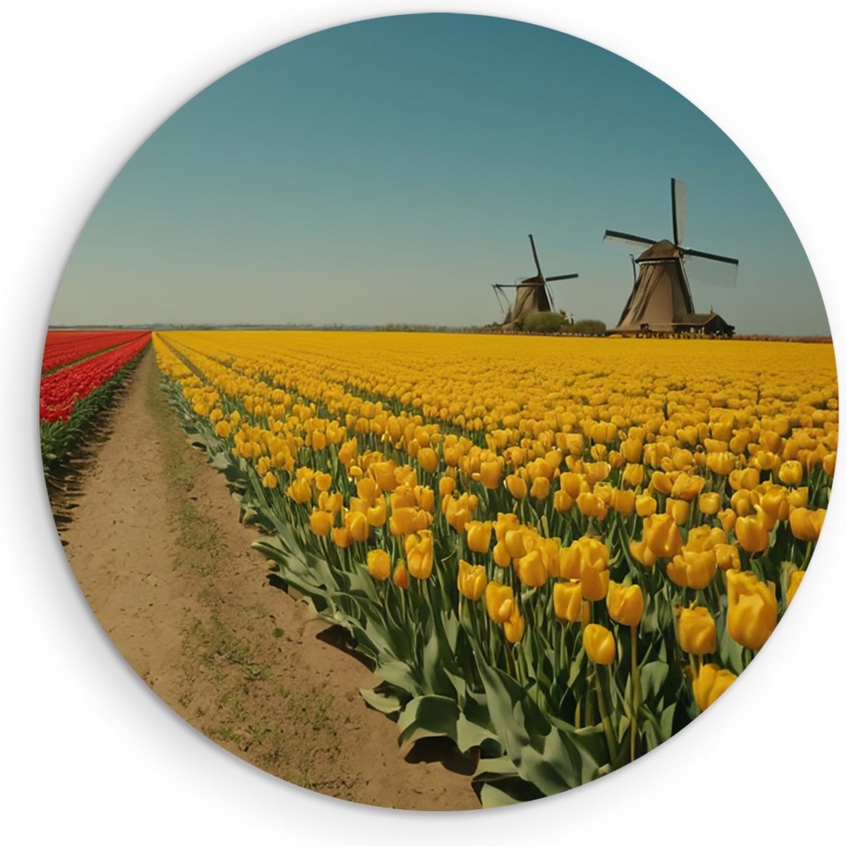Saammp Forex Muurcirkel - Landschap - Rode en gele tulpen- Natuur - Ø 40 - Wandcirkel - Wanddecoratie Cirkel - Muurdecoratie Woonkamer - Slaapkamer decoratie - Rond Schilderij