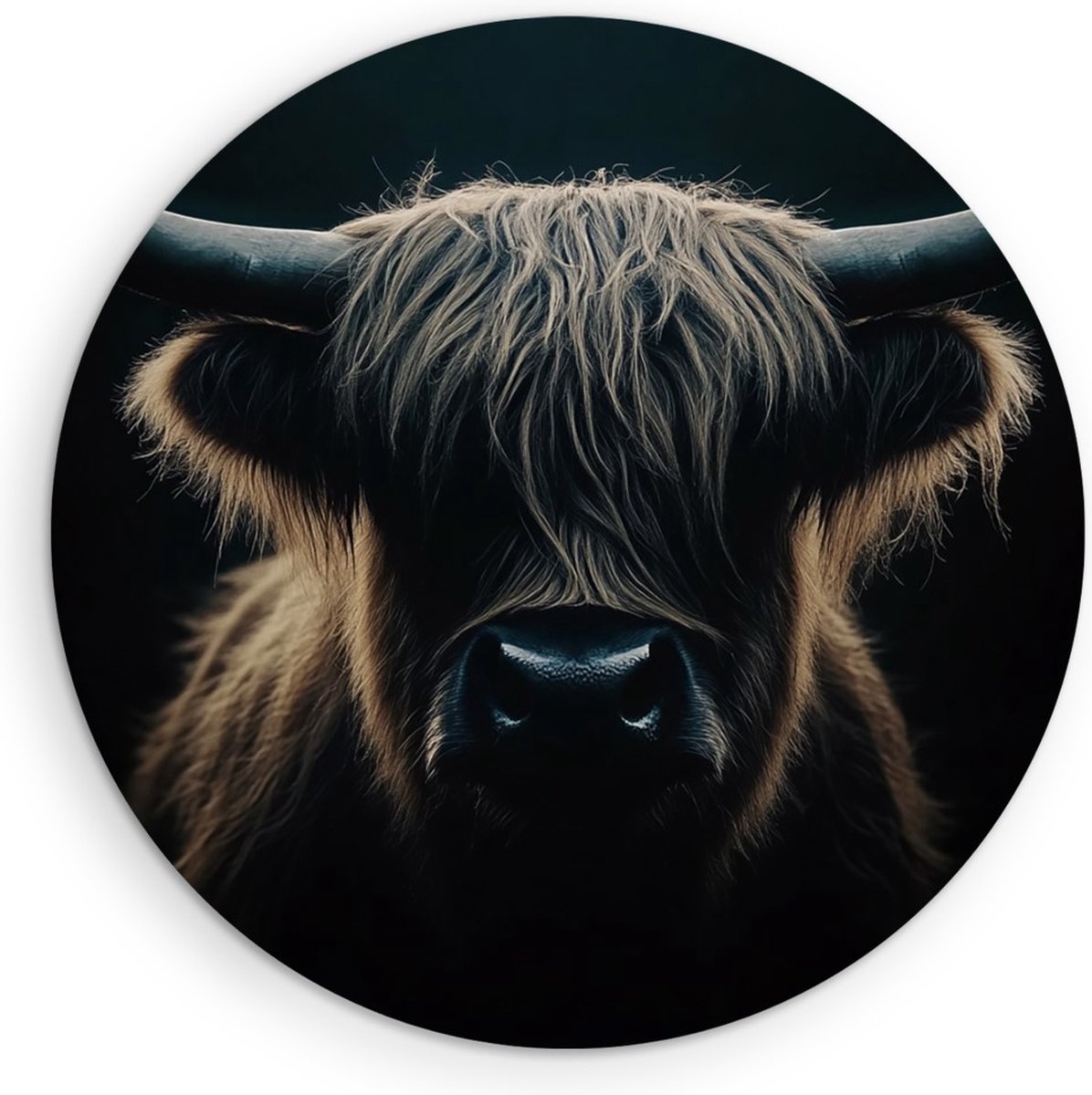 Saammp Muurcirkel Hout - Schotse hooglander koe - Portret - Dieren - Ø 60 - Wandcirkel - Wanddecoratie Cirkel - Muurdecoratie Woonkamer - Slaapkamer decoratie - Rond Schilderij