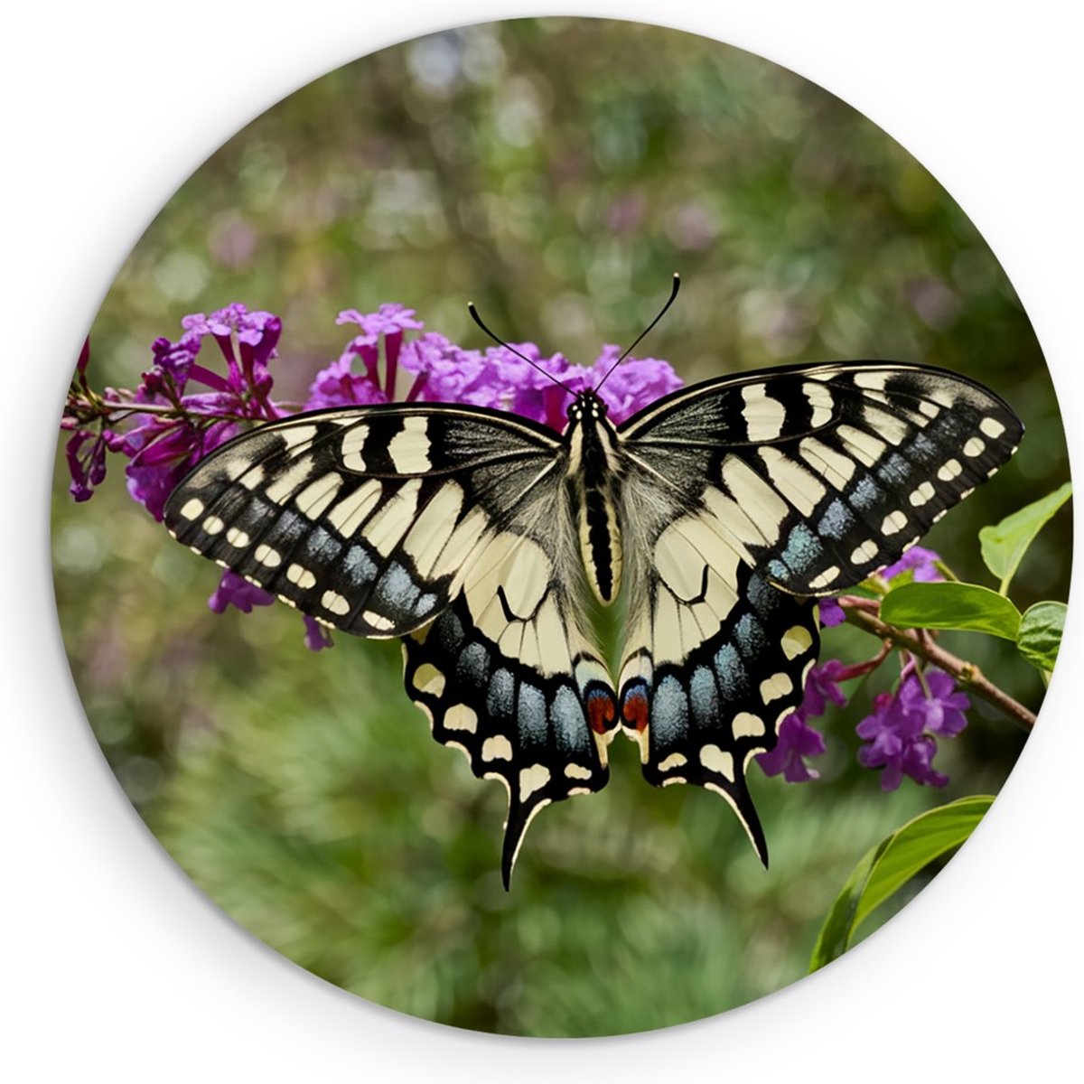 Saammp Muurcirkel Hout - Vlinder - Bloemen - Dieren - Ø 60 - Wandcirkel - Wanddecoratie Cirkel - muurdecoratie Woonkamer - Slaapkamer decoratie - Rond Schilderij