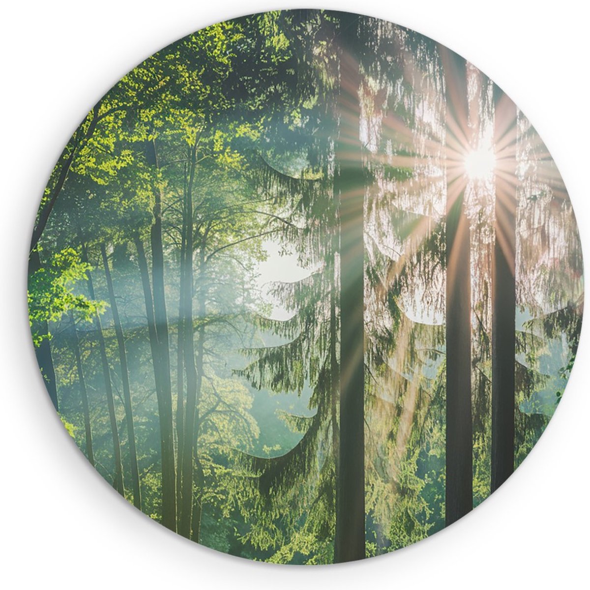 Saammp Forex Muurcirkel - Zon tussen de bomen - Bos - Landschap - Natuur - Ø 60 - Wandcirkel - Wanddecoratie Cirkel - Muurdecoratie Woonkamer - Slaapkamer decoratie - Rond Schilderij