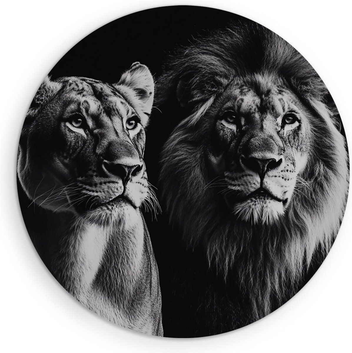 Saammp Forex Muurcirkel - Leeuwin en leeuw - Portret - Dieren - Natuur - Ø 90 - Wandcirkel - Wanddecoratie Cirkel - Muurdecoratie Woonkamer - Slaapkamer decoratie - Rond Schilderij