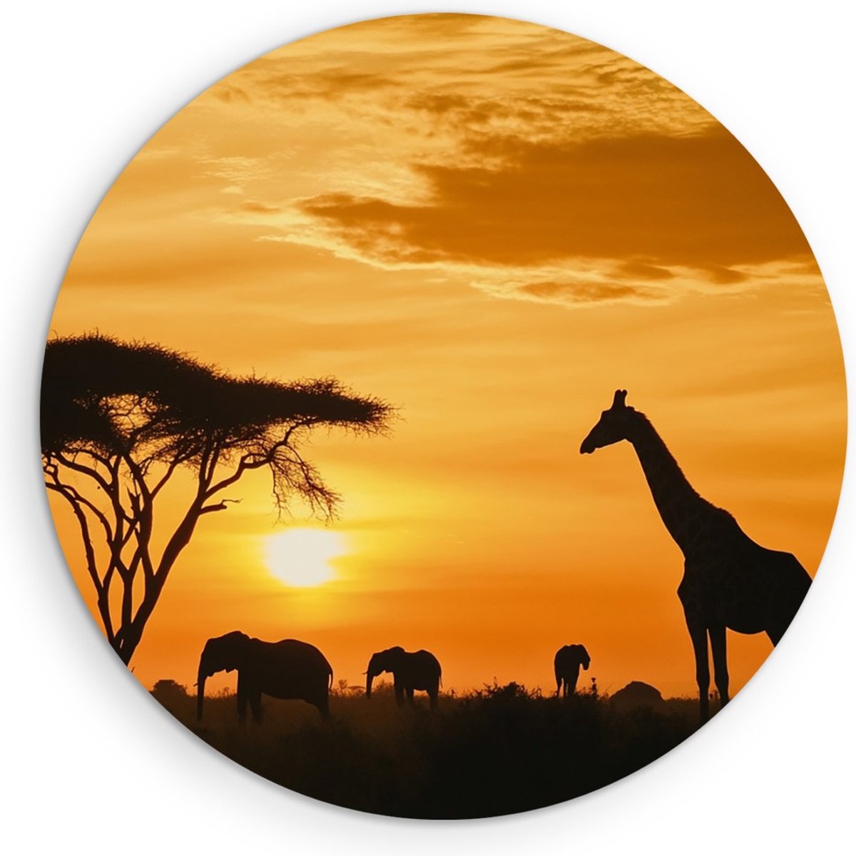 Saammp Forex Muurcirkel - Olifanten silhouet - Dieren - Ø 90 - Wandcirkel - Wanddecoratie Cirkel - muurdecoratie Woonkamer - Slaapkamer decoratie - Rond Schilderij