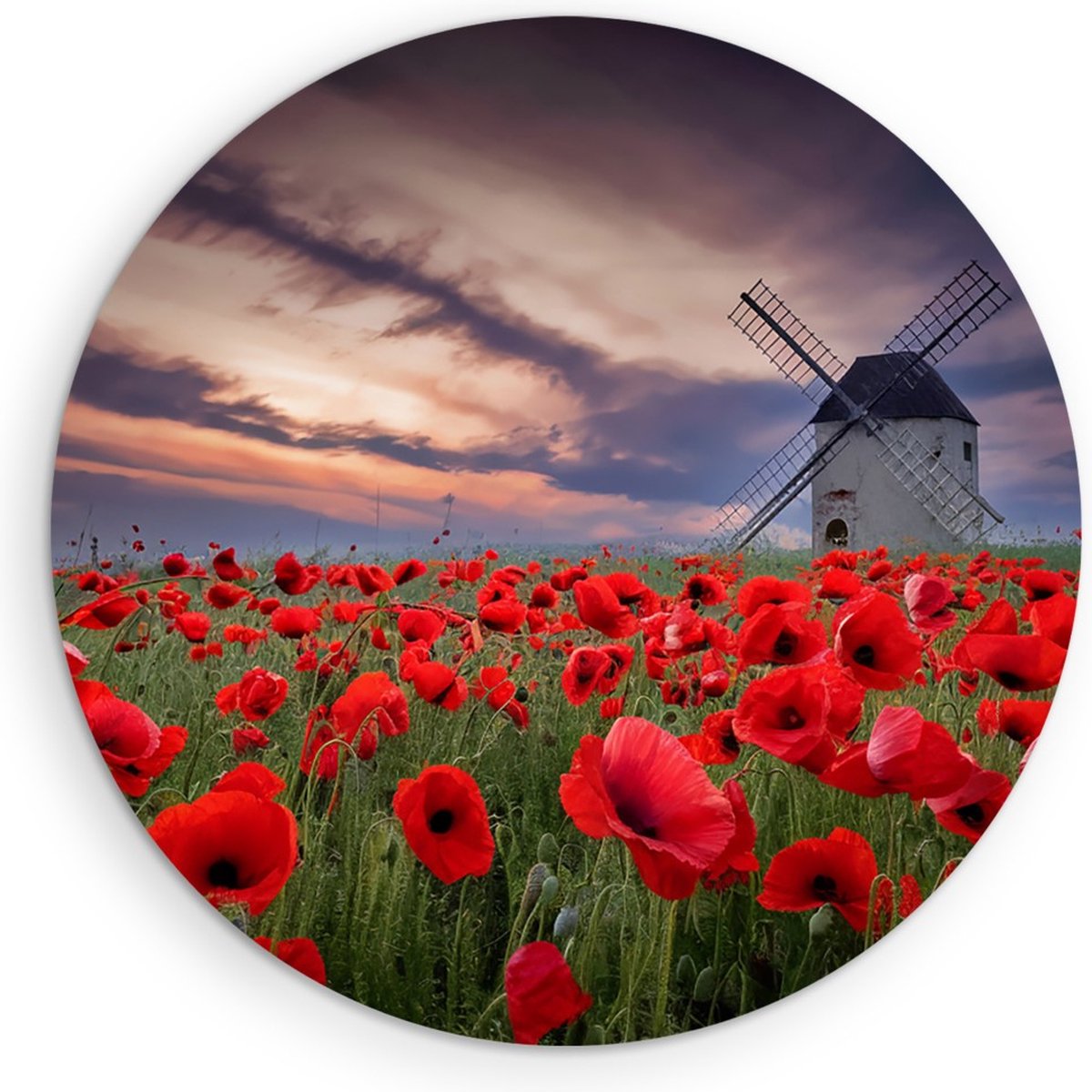 Saammp Forex Muurcirkel - Klaprozen met molen - Bloemen - Landschap - Natuur - Ø 40 - Wandcirkel - Wanddecoratie Cirkel - Muurdecoratie Woonkamer - Slaapkamer decoratie - Rond Schilderij
